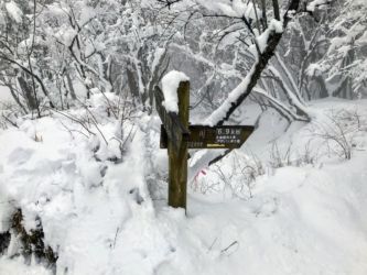 三ノ塔尾根を降りていく